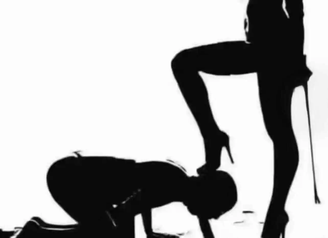 西檬之家Tickle是什么？它在字母圈中的独特魅力是什么？ 一