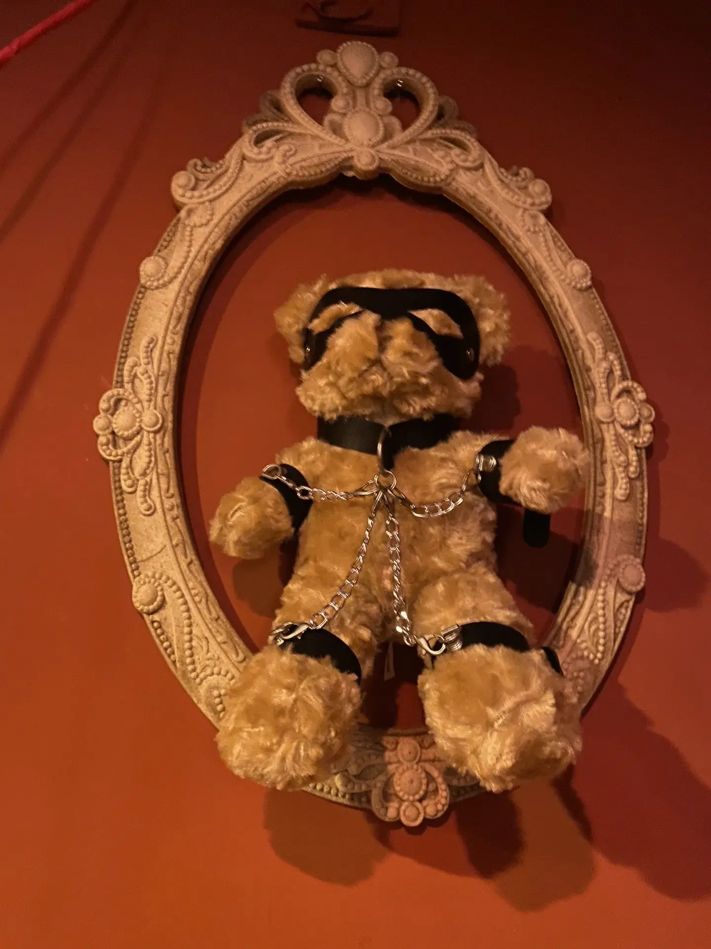 西檬之家K9是什么？探索字母圈中的独特实践与意义 一