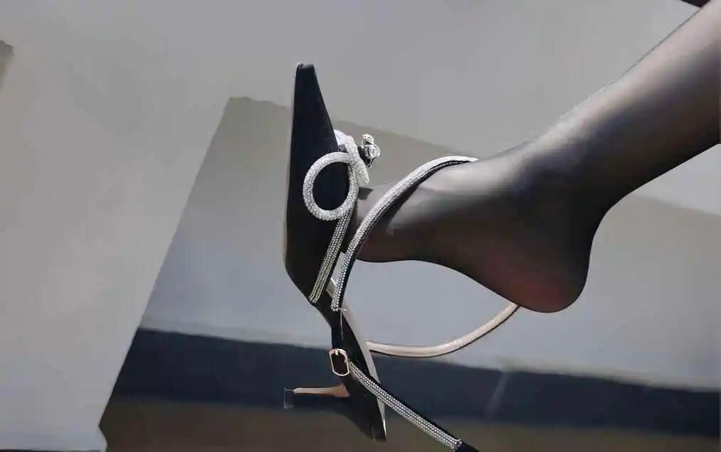 西檬之家K9犬系是什么？探索字母圈中的忠诚与服从关系 一