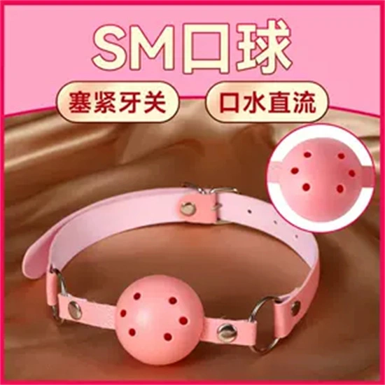 西檬之家k9是什么？字母圈新人必知的关键概念解析 一